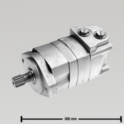 MOTOR HIDRAULICO 2000 SERIES 80CCM