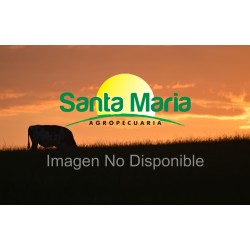 VALVULA DE EXPANSION R22EQ-INT C/ORIFICIO
